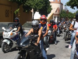 XVII Concentracion - 2010